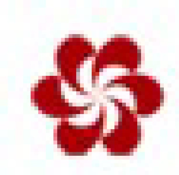 2010第108屆中國進出口商品交易會(第一期)